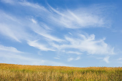 Травянистый луг, небо с легкими перистыми облаками. Пейзаж, лето. Фотография для постеров, календарей, для оформления интерьеров