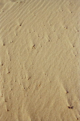 Поверхность песка. Фотография для постеров, интерьеров