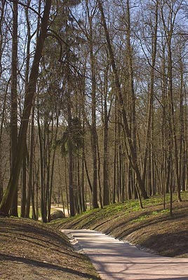 Дорожка в парке, пейзаж, весна, утро. Фотография для постеров, календарей, иллюстраций, для оформления интерьеров Дорожка в парке, пейзаж, весна, утро. Фотография для постеров, календарей, иллюстраций, для оформления интерьеров