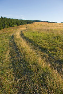 Проселочная дорога, опушка леса и небо с легкими перистыми облаками. Пейзаж, лето. Фотография для постеров, календарей, для оформления интерьеров Проселочная дорога, опушка леса и небо с легкими перистыми облаками. Пейзаж, лето. Фотография для постеров, календарей, для оформления интерьеров