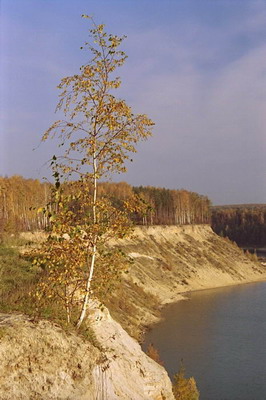Озеро, береза над обрывом, песчаный берег, осень. Фотография для постеров, календарей, иллюстраций, для оформления интерьеров и выставочных стендов Фотография для постеров, календарей, иллюстраций, для оформления интерьеров и выставочных стендов. Озеро, береза над обрывом, песчаный берег, осень