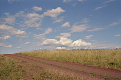 Пейзаж, проселочная дорога, поле, небо с облаками, вечер, лето. Фотография для постеров, календарей, иллюстраций, для оформления интерьеров и выставочных стендов Фотография для постеров, календарей, иллюстраций, для оформления интерьеров и выставочных стендов. Пейзаж, проселочная дорога, поле, небо с облаками, вечер, лето