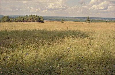 Пейзаж, луг, небо с облаками, вдали речная долина и лес, лето. Фотография для постеров, календарей, иллюстраций, для оформления интерьеров и выставочных стендов Фотография для постеров, календарей, иллюстраций, для оформления интерьеров и выставочных стендов. Пейзаж, луг, небо с облаками, вдали речная долина и лес, лето