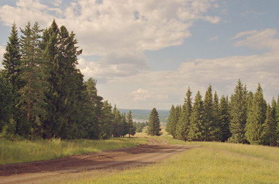 Пейзаж, луг, проселочная дорога, ели, небо с облаками, лето. Фотография для постеров, календарей, иллюстраций, для оформления интерьеров и выставочных стендов Фотография для постеров, календарей, иллюстраций, для оформления интерьеров и выставочных стендов. Пейзаж, луг, проселочная дорога, ели, небо с облаками, лето