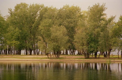 Песчаный остров на реке Волге, пейзаж, ивы. Фотография для постеров, календарей, иллюстраций, для оформления интерьеров и выставочных стендов Фотография для постеров, календарей, иллюстраций, для оформления интерьеров и выставочных стендов. Песчаный остров на реке Волге, пейзаж, ивы